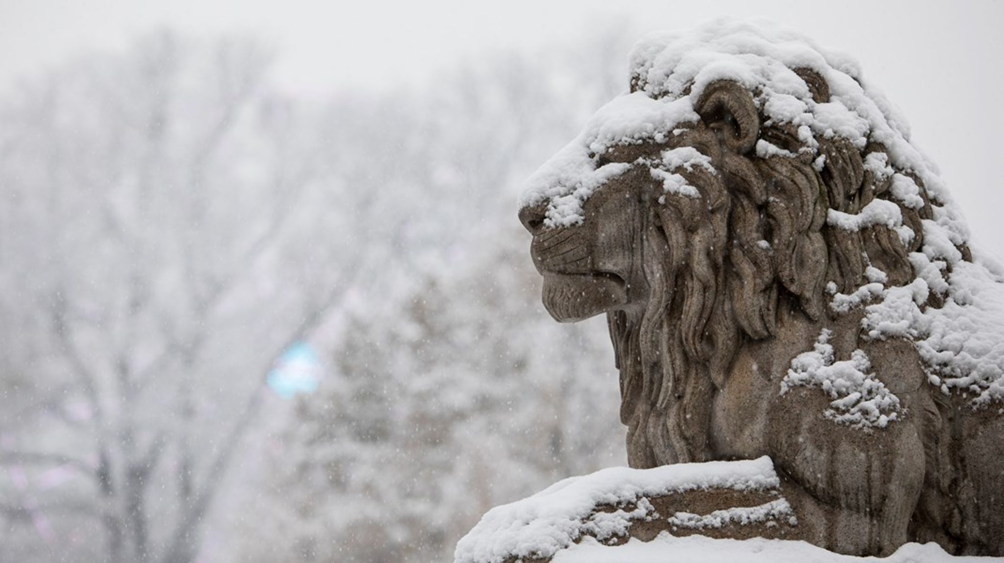 Tirsdag 24. februar blir en travel dag i helsepolitikken på Stortinget.