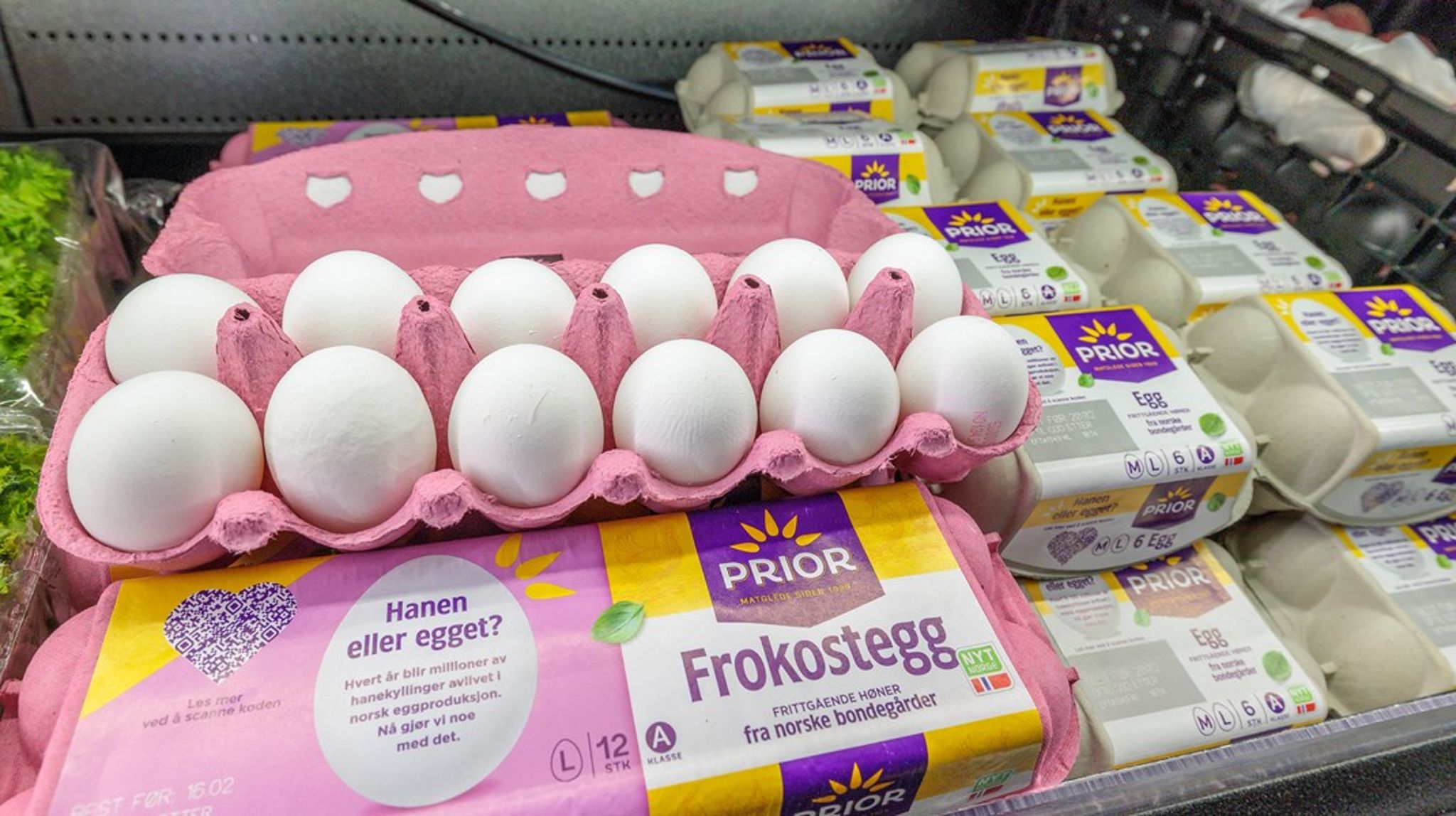 Egg- og kjøttsamvirket Nortura får ny leder for nærings- og handelspolitikk. Kjetil Tysdal tiltrer i midten av august.