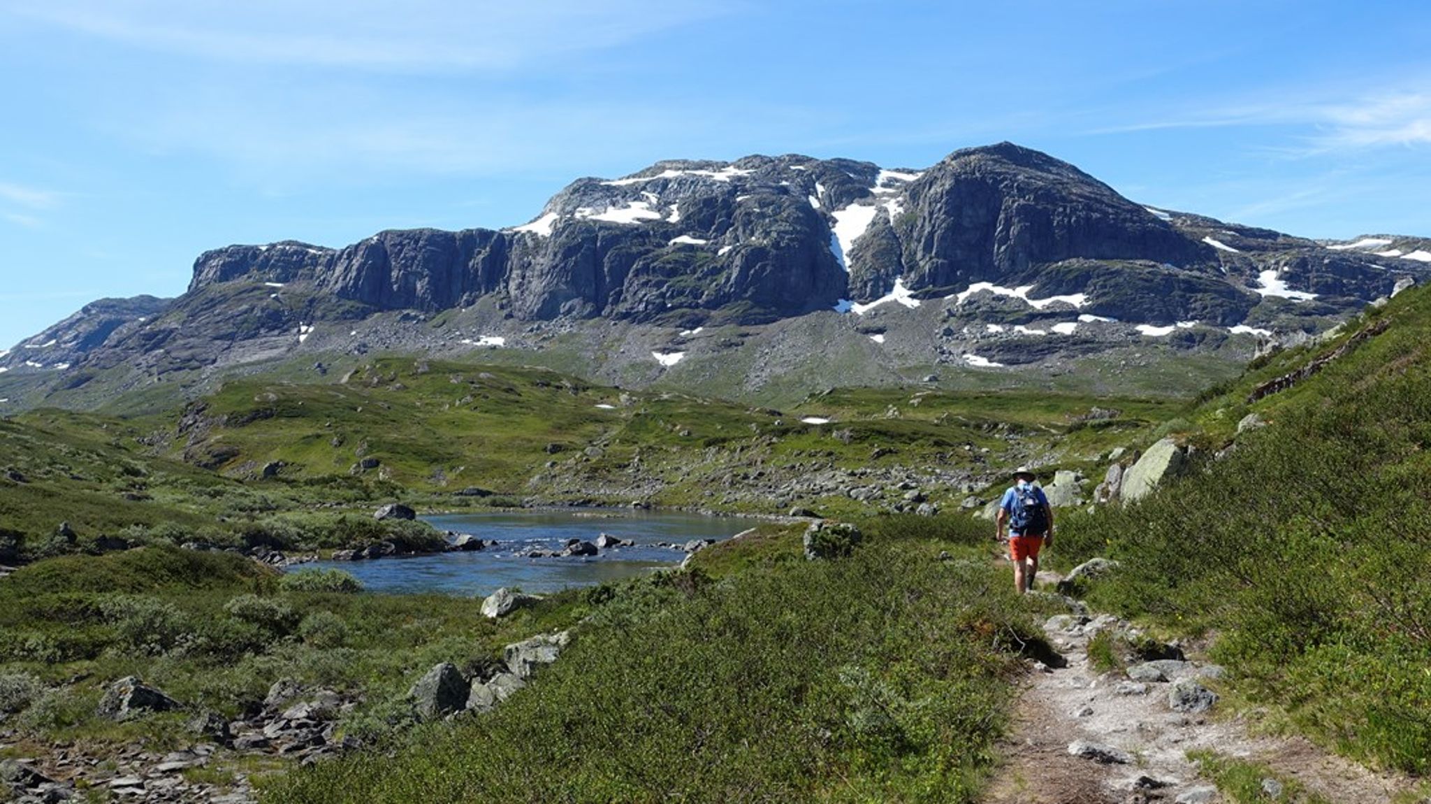Verdens ville dyrebestander har i snitt gått tilbake med 69 prosent siden 1970. Et tiltak er å verne og restaurere mer natur. I Norge er vi gode på å verne fjell, men har vernet lite skog, kyst og sjøområder.