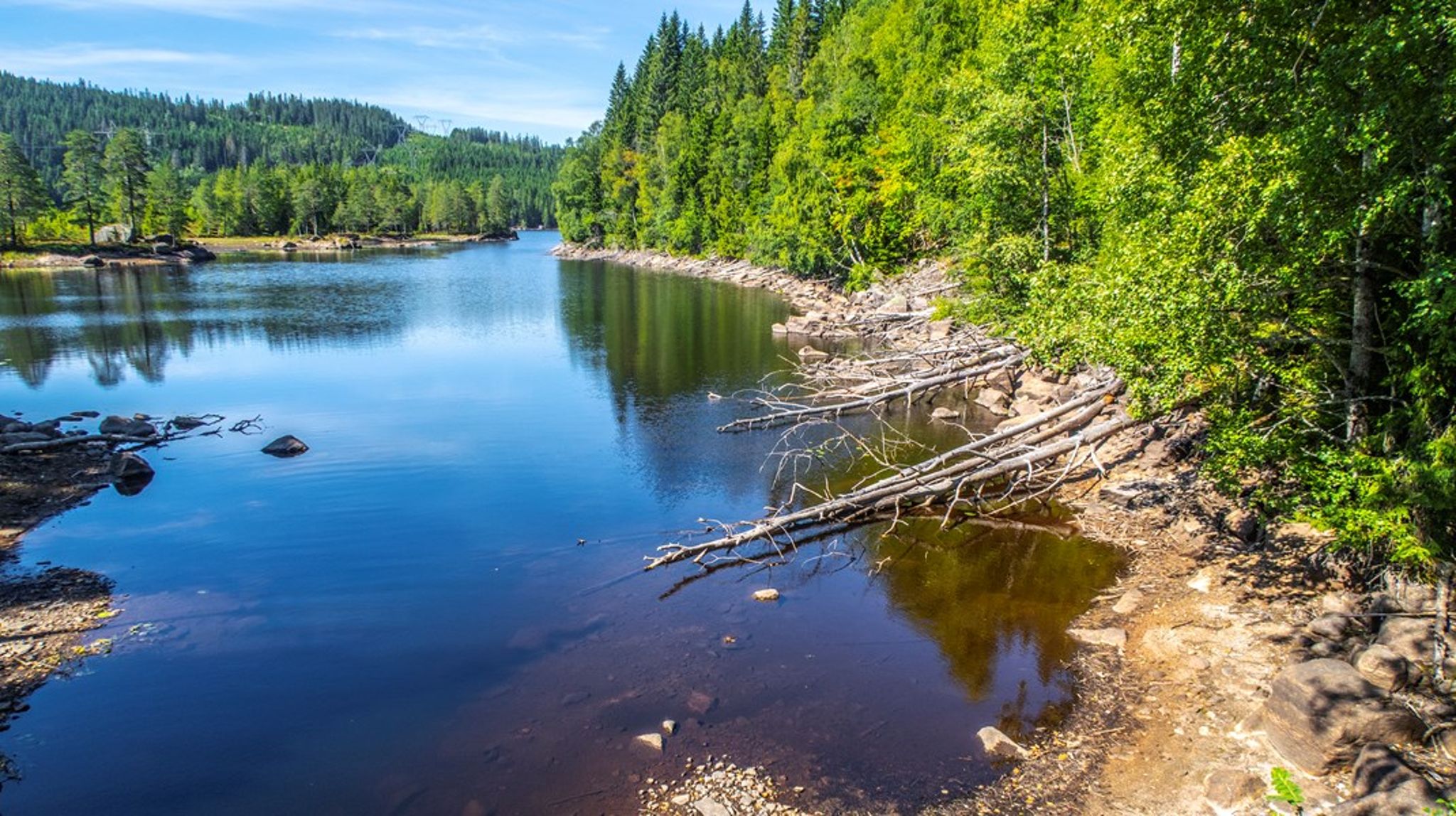 Naturen ødelegges ikke fordi noen har et mål i seg selv om å ødelegge natur, men fordi naturen stadig taper kamper mot andre interesser, både i budsjettspørsmål, reguleringsspørsmål og utbyggingssaker, skriver artikkelforfatterne. 