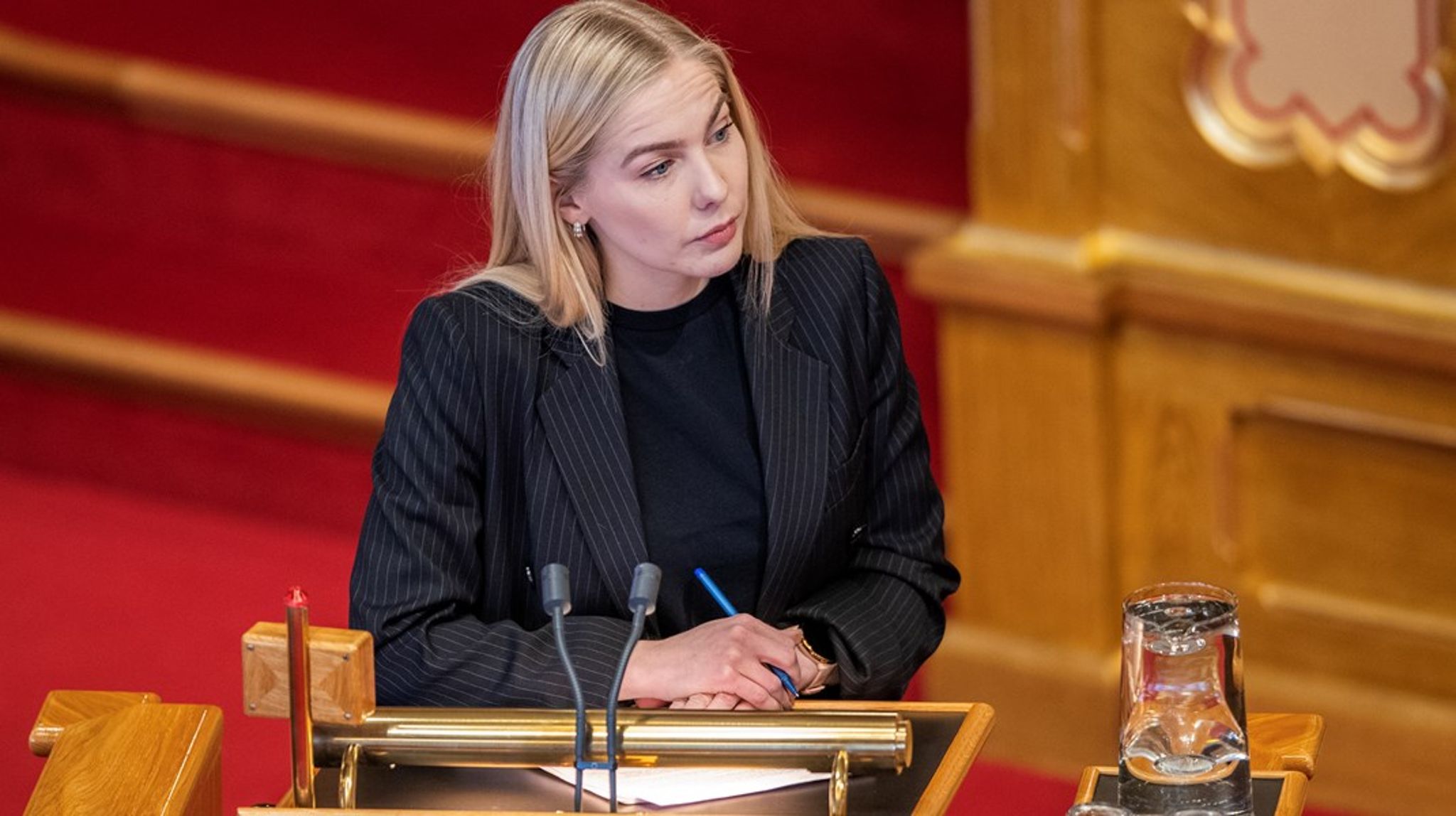 Mari Holm Lønseth sikter seg inn mot en tredje periode på Stortinget, og er valgt til listetopp fra hjemfylket.&nbsp;