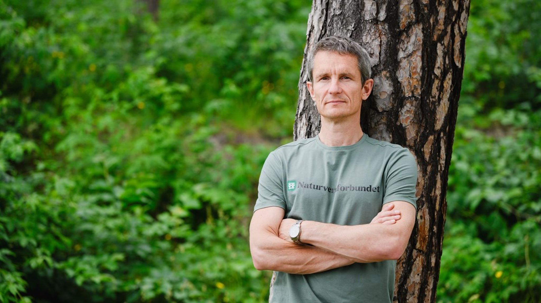 Naturvernforbundets leder Truls Gulowsen er svært skuffet over regjeringens Naturmelding, men håper Høyre vil komme på banen og vise hva konservative verdier egentlig betyr for bevaring av naturgrunnlaget.&nbsp;