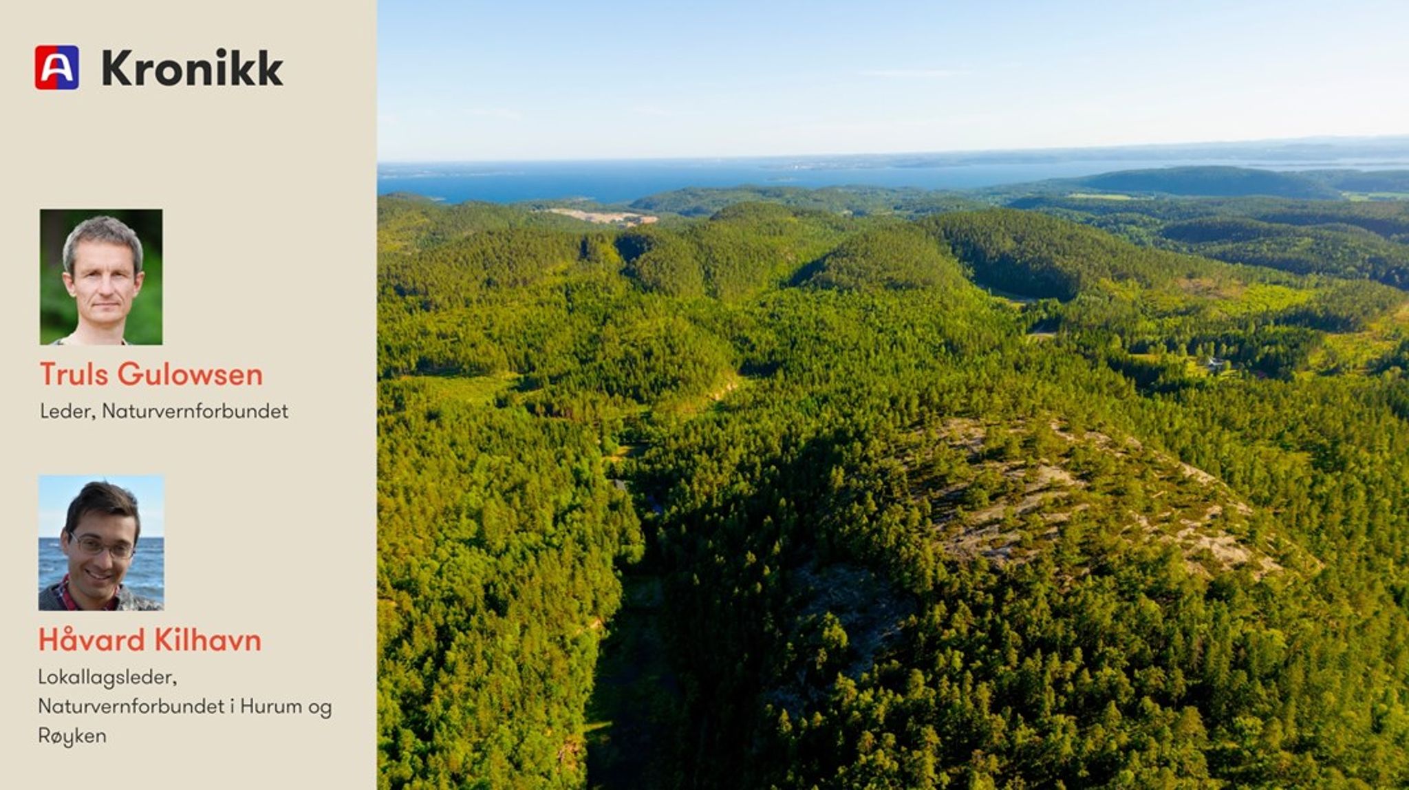 Helt siden begynnelsen av prosessen har Chemring ønsket å bygge i skogen ved Tofte i Hurum, skriver innleggsforfatterne.