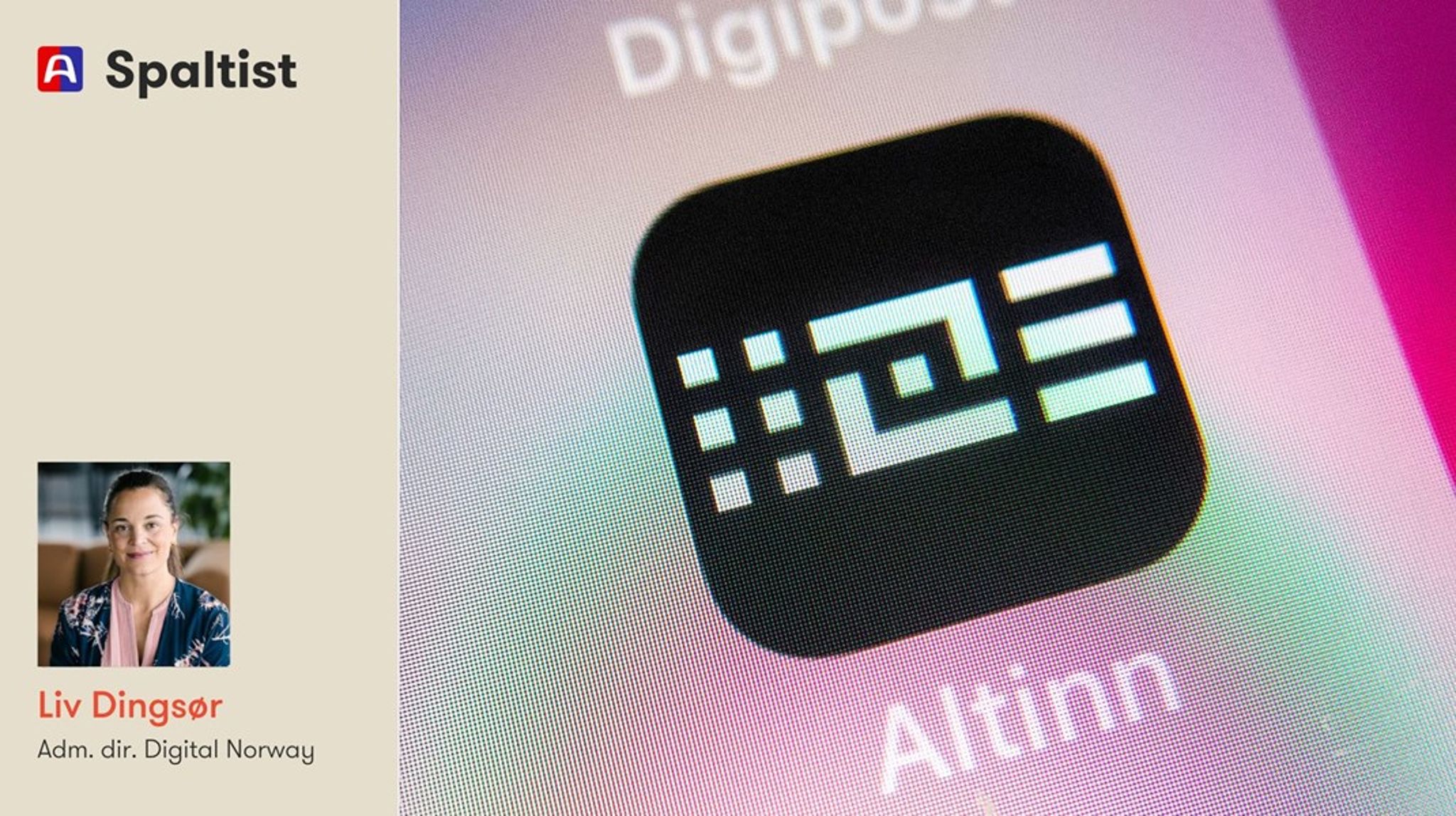 Eksisterende virkemidler som «Én vei inn» som samler blant annet det felles digitale økosystemet (Altinn, ID‑porten m.fl.) er nødvendige og bra. Men vi må i tillegg løfte fokus på kvaliteten og bruksverdien i selve innholdet, sier spaltist Liv Dingsør.