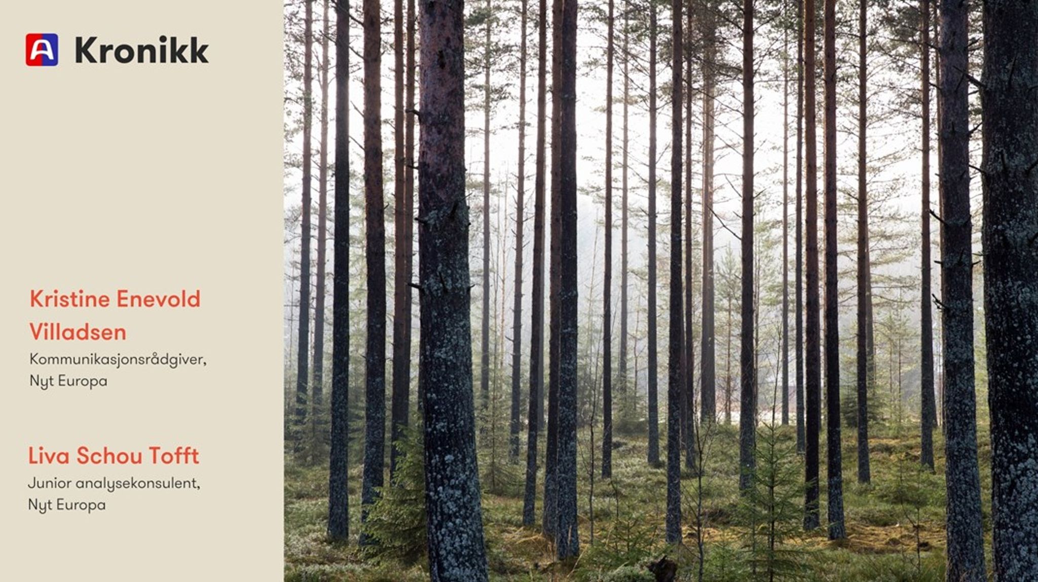 Den nye rapporten fra EEA viser at det er et presserende behov for å tilpasse det europeiske samfunnet og økonomien til den nye klimavirkeligheten. Det som allerede ligger på bordet, er langt fra nok, skriver innleggsforfatterne.