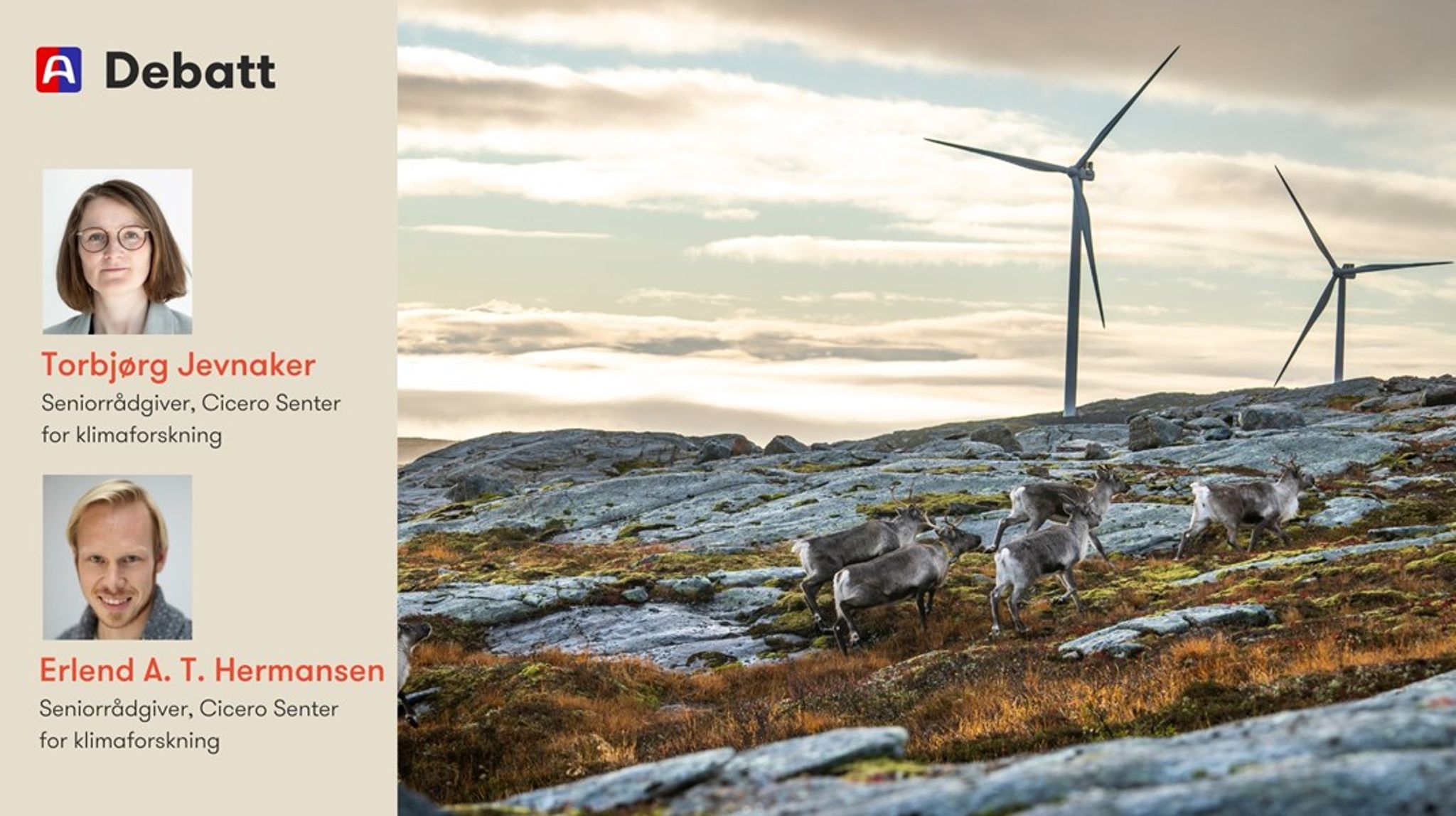 Vi trenger en mer samlet vurdering av hvor og på hvilke vilkår det er akseptabelt å bygge ned natur for å kutte klimautslipp og omstille og utvikle næringslivet, og hvor naturen bør vernes, mener innleggsforfatterne.