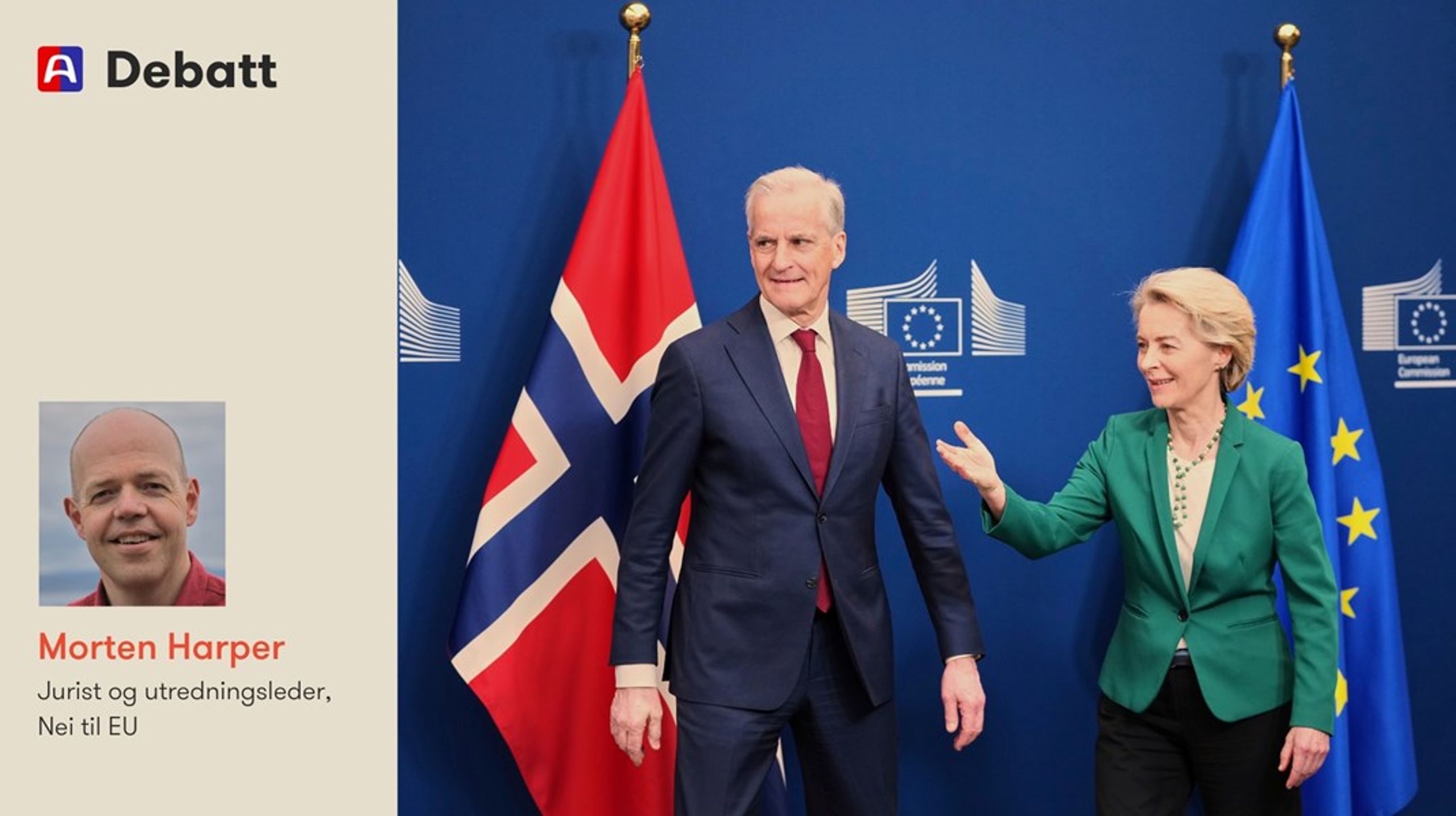 Full tilknytning til EUs tollunion ville være en trussel mot vår egen matproduksjon, og store deler av landbruket ville bli nedlagt, mener innleggsforfatteren.