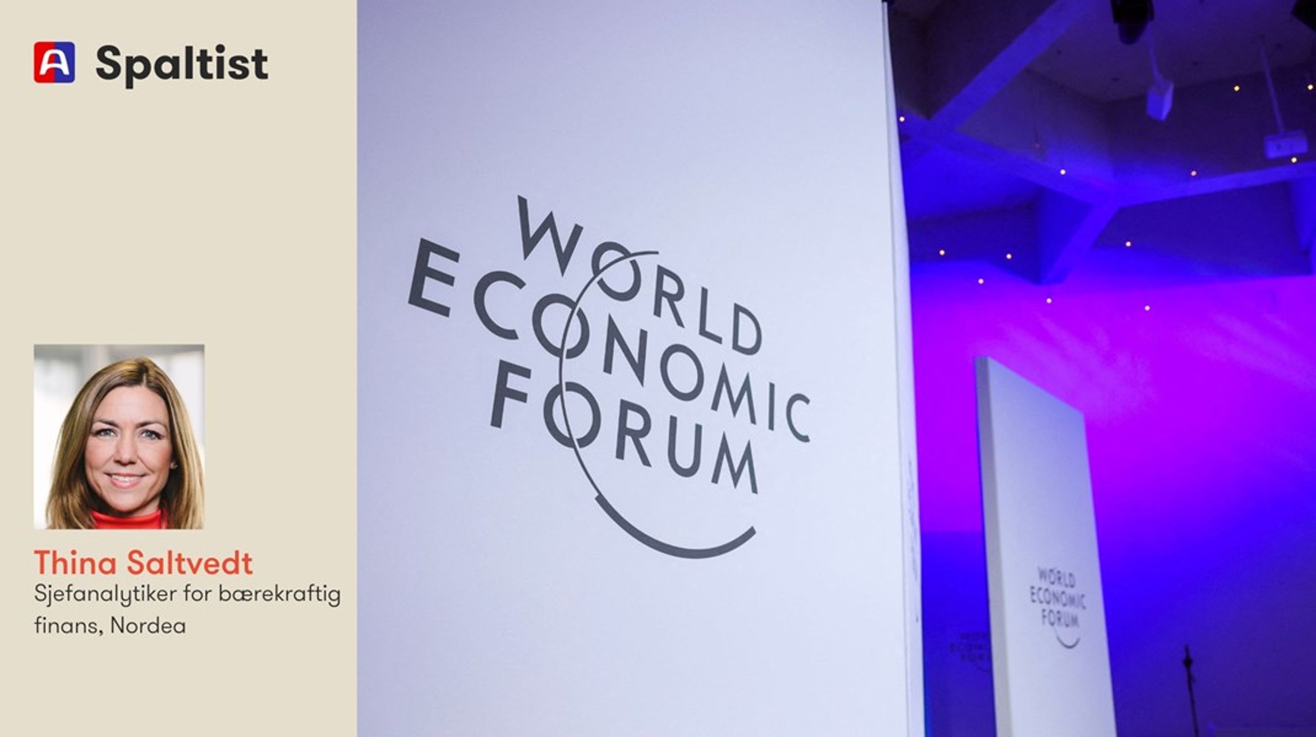 En koordinert global innsats den eneste måten å effektivt redusere klimagassutslipp og dempe konsekvensene av klimaendringer, skriver spaltist Thina Saltvedt.