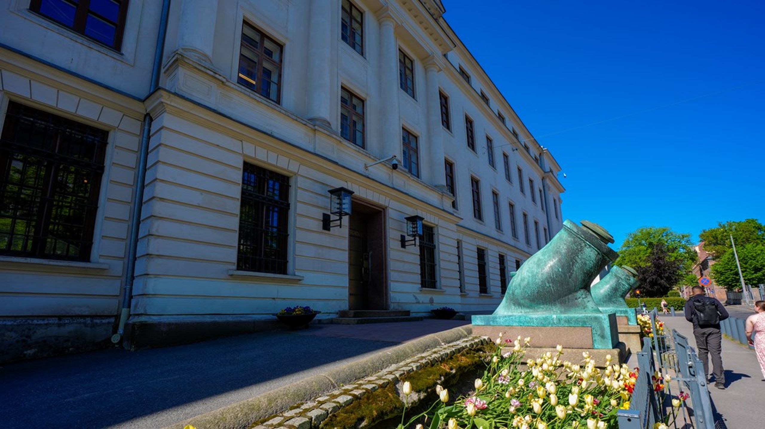 Forsvarsdepartementet leter etter en ny fagdirektør som skal jobbe med forsvarsinvesteringer.