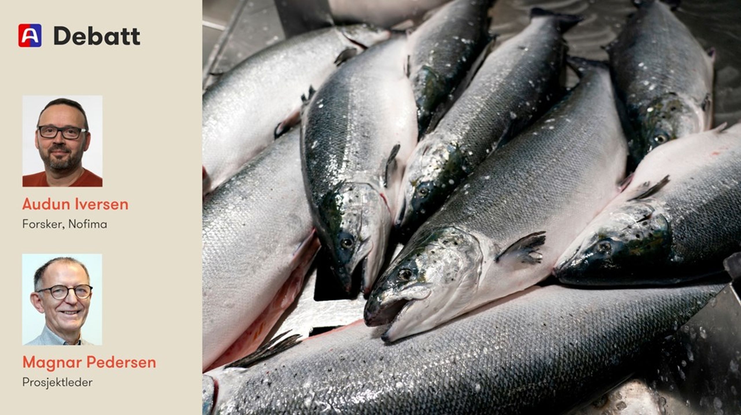 Norge produserer daglig sjømat nok til titalls millioner måltider, men næringen er nærmest fraværende i nasjonale beredskapsplaner, skriver innleggsforfatterne.