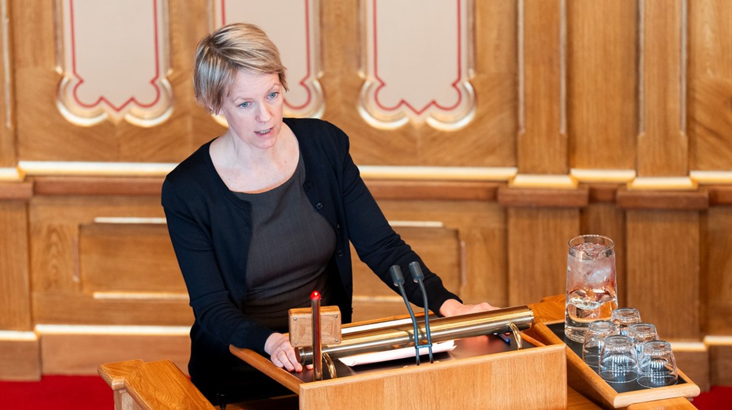 Ingrid Fiskaa får bred støtte for forslaget om å digital suverenitet inn i digitaliseringsstrategien. Om folk mener det samme med forslaget, er derimot usikkert.