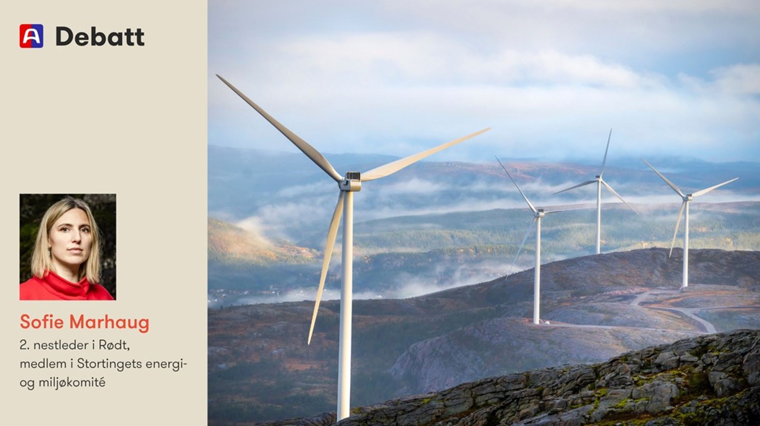 «Jeg opplever MDG som et parti som i de fleste sammenhenger har en genuin omsorg for naturen. Derfor er jeg utrolig skuffet over at partiet nå lar seg lure av kraftbransjens lobbyister», skriver innleggsforfatteren.