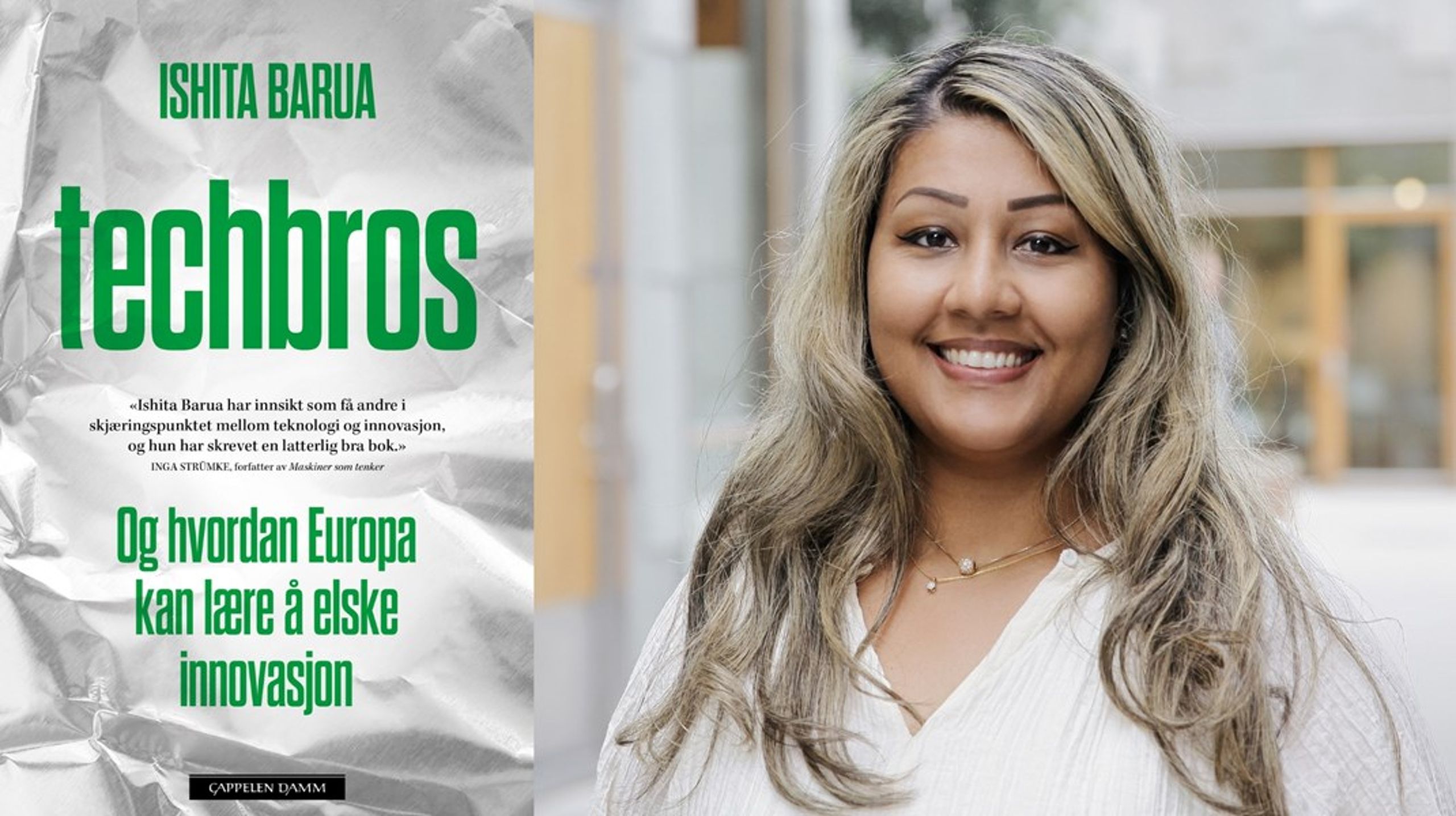 Ishita Baruas nye bok&nbsp;<i>Techbros </i>er informativ og velstrukturert, men mangler den ekstra piffen, ifølge Altingets anmelder.