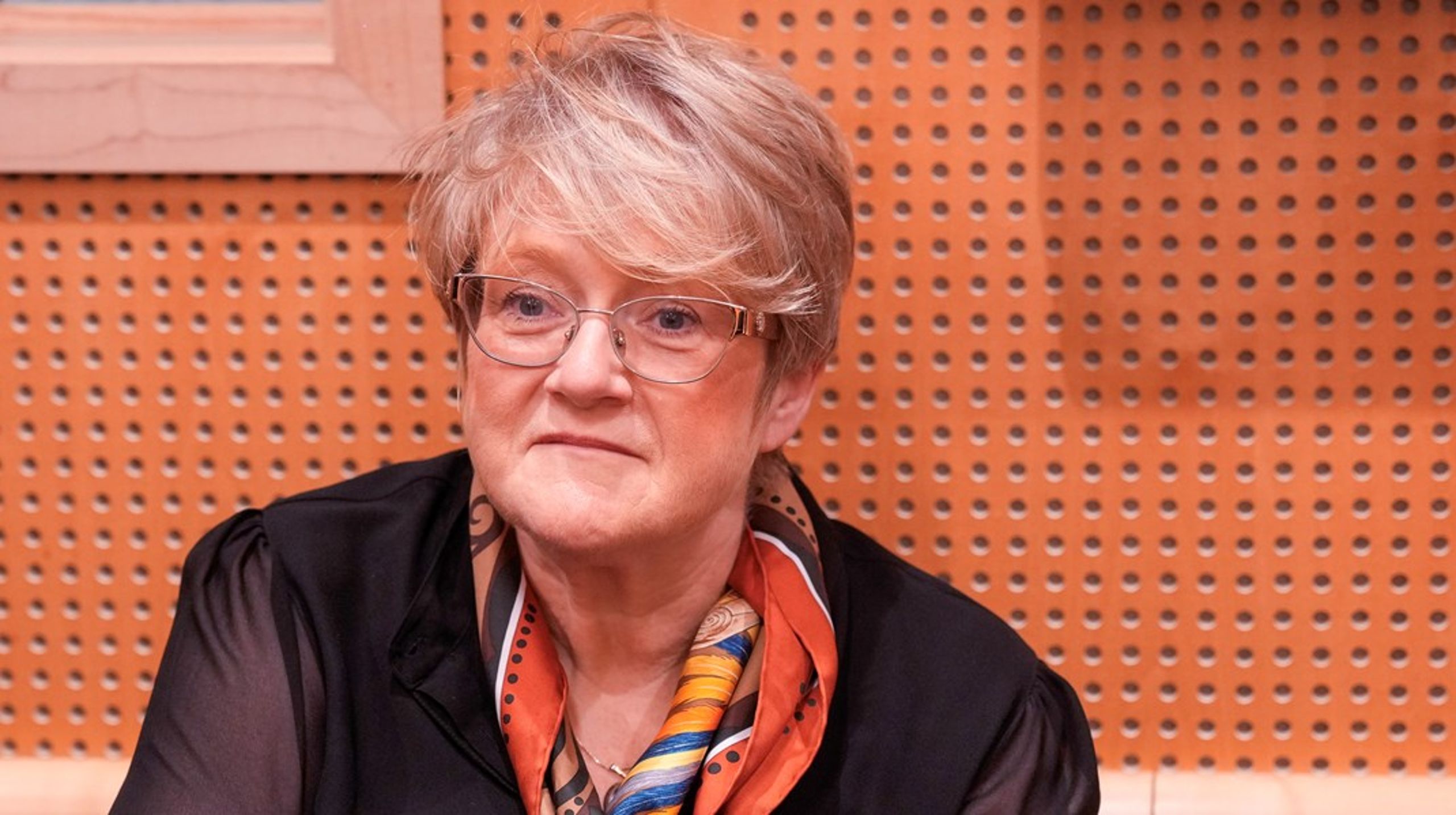 Trine Skei Grande blir ny president i&nbsp;rådet til Den norske Helsingforskomité.