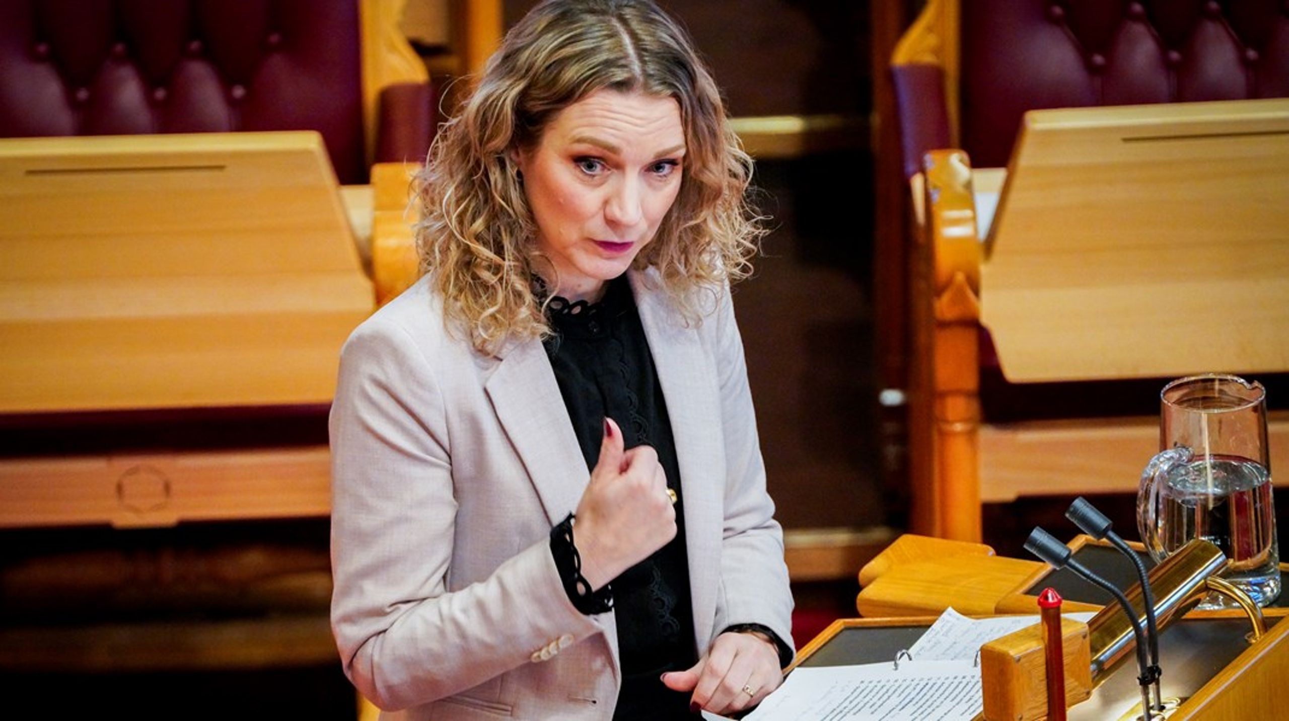 – President, her er det vel representanten Marhaug som er på grensa til uredelig, sa Karianne Tung fra talerstolen. Det likte Marhaug dårlig.&nbsp;
