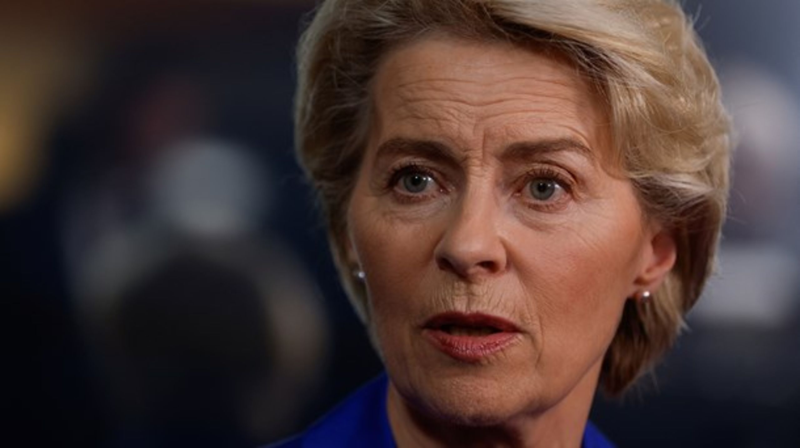 Behovet for å revurdere EU-samarbeidet har blant annet oppstått i kjølvannet av unionens løfter om å gi Ukraina medlemskap i EU.