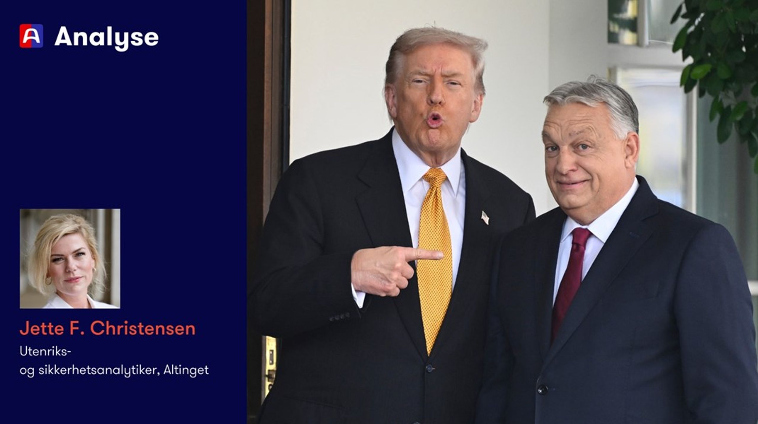 Møtet mellom Donald Trump og Viktor Orbán i Det hvite hus 7. november var&nbsp;«great».