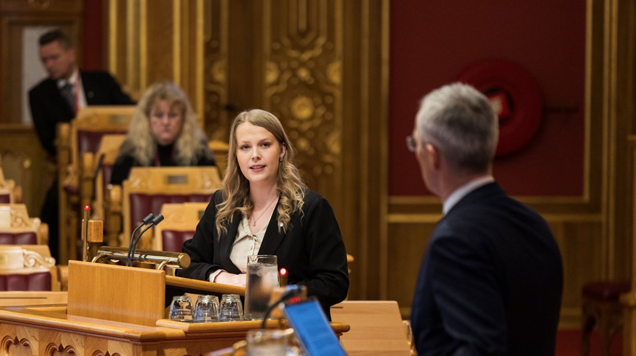 Senterpartiets Maren Grøthe reagerer på uttalelser fra den tidligere tyske visekansleren Robert Habeck.