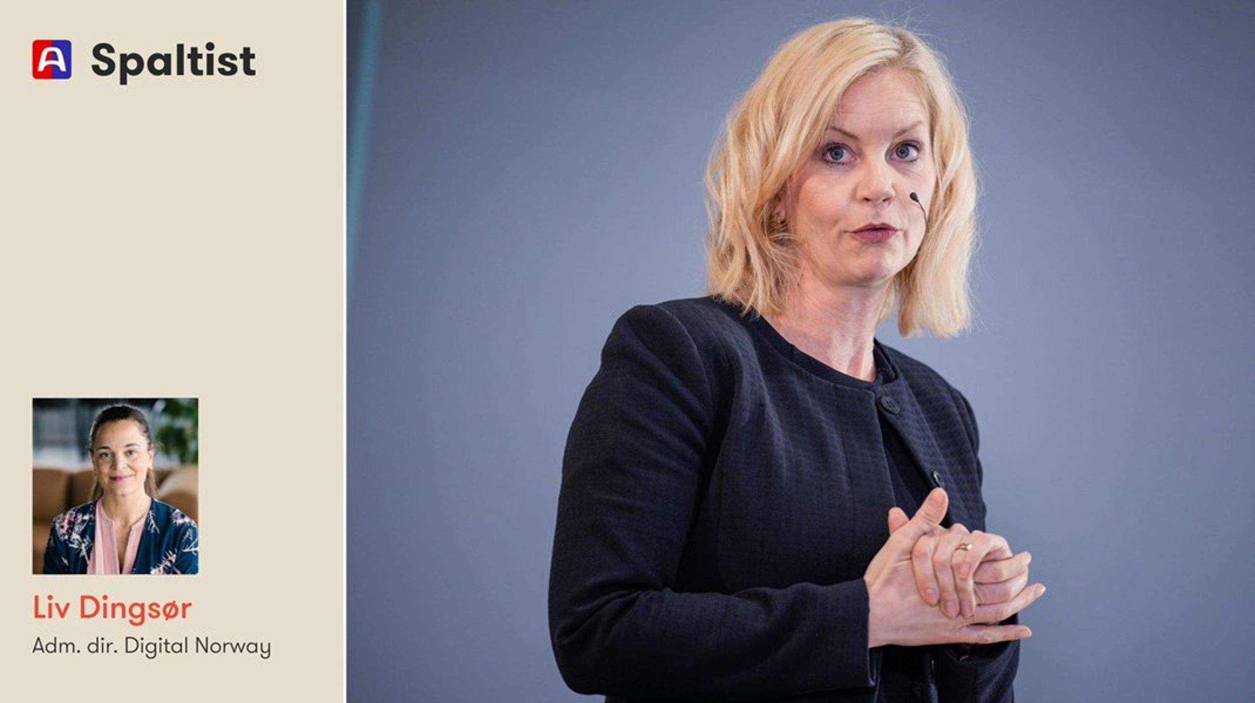 Forsknings- og høyere utdanningsminister Sigrun Aasland har satset stort på nye studieplasser og KI-forskningssentre. Det er ikke nok, mener spaltist Liv Dingsør.&nbsp;