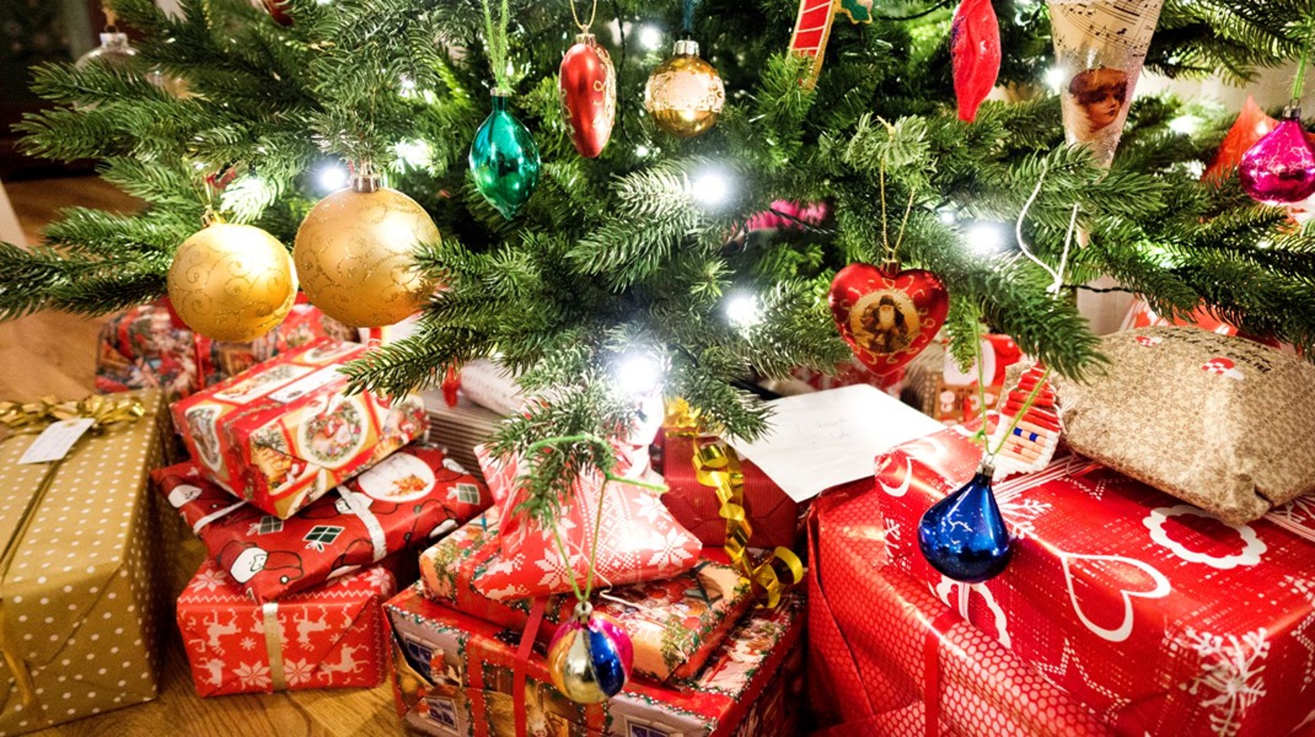 Blir det rekordmange sakprosa-bøker under juletreet i år, mon tro?