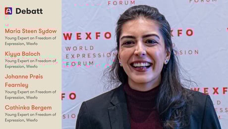 Vår venninne er dømt til 17 års fengsel for lovlige ytringer i sosiale medier