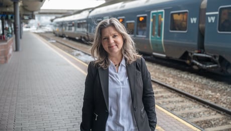 Går inn som settedirektør i Statens vegvesen