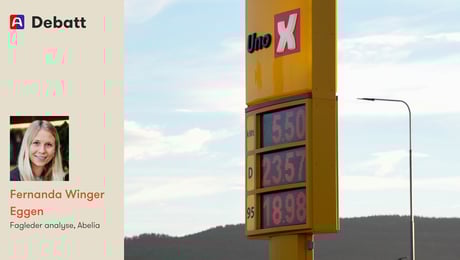 Er ansvarlig klimapolitikk forlatt til fordel for symbolsk krisehåndtering?