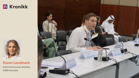 Norge og den fossile blindsonen