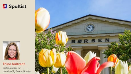 Økonomien er avhengig av fungerende økosystemer