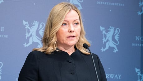 Fafo-sjef skal sitte i ekspertutvalg