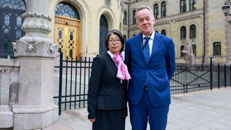 Dommer skal lede Epstein-kommisjonens sekretariat