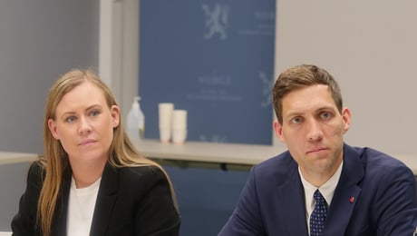 Blir ny settestatsråd for klimaministeren i saker om våpenselskap