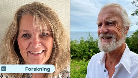 Både struktur og kultur må endres dersom samordning skal bli mer enn et ideal