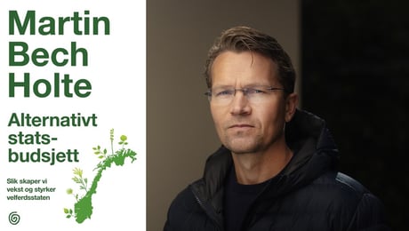 3 A-er: Politisk naivt alternativt budsjett fra Bech Holte