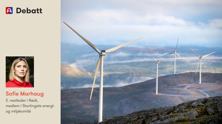 Å tvinge kommuner til å utrede vindkraft er dårlig for naturen