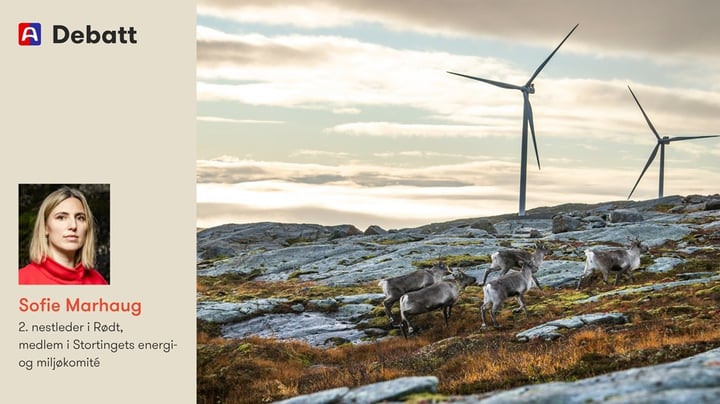 Kommunene vil tvinges til å utrede vindkraft i konflikt med natur og urfolks rettigheter 