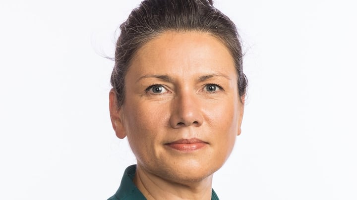 Leder av Europabevegelsen:  Vi dyrker vårt utenforskap