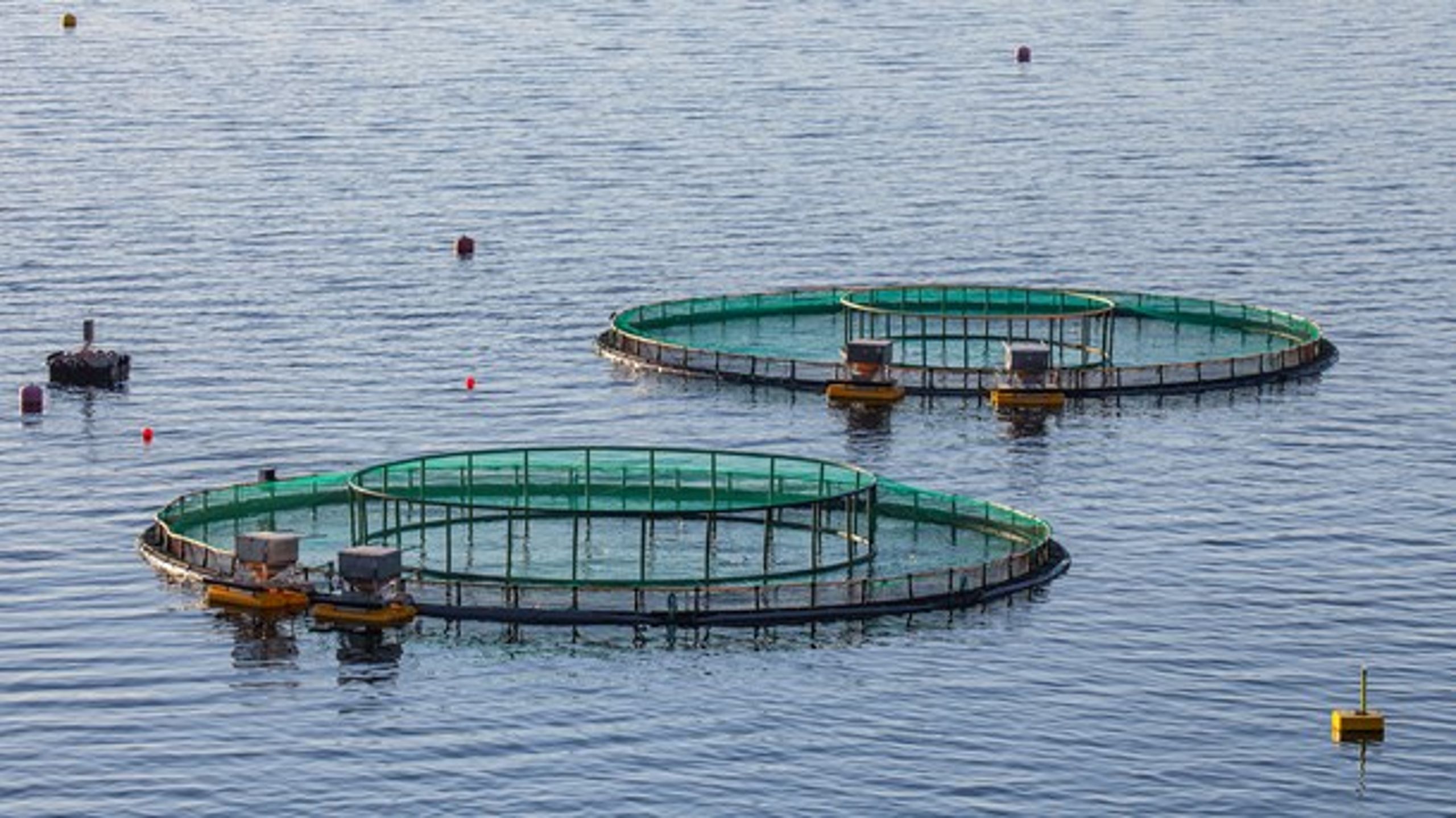 Annlegg for fiskeoppdrett ved Gjermundnes i Møre og Romsdal