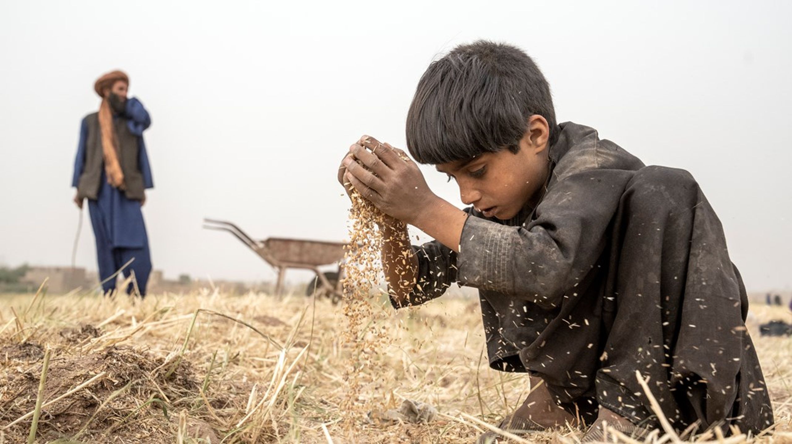 Ahmad Vali er 9 år og jobber på åkrene i utkanten av Herat i Afghanistan. Liv Kjølseth frykter for konsekvensene av at det når er kuttet i&nbsp;regionbevilgningene til landet.&nbsp;