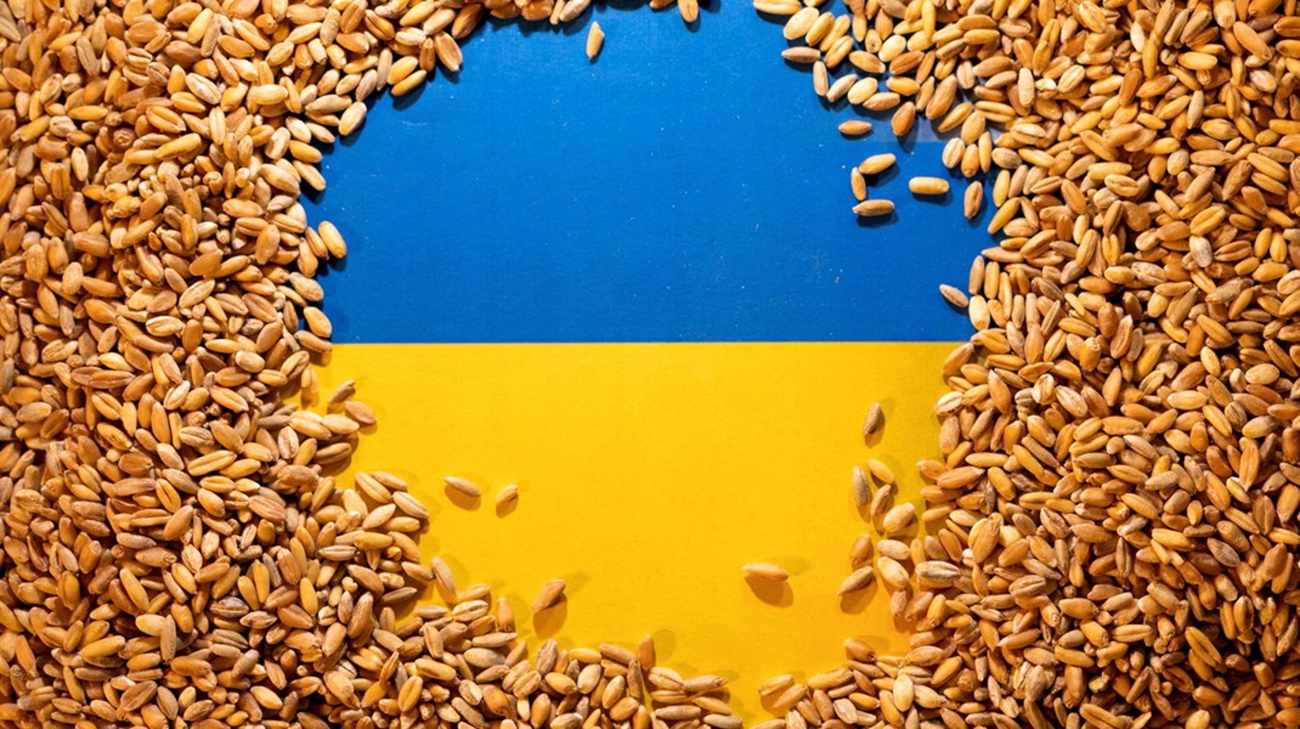 Denne uken møtes EUs landbruksministre for å diskutere et ubehagelig tema; skal det fortsatt være restriksjoner på import av matvarer fra Ukraina? Flere av Ukrainas naboland mener ja, de vil skjerme sitt eget landbruk.
