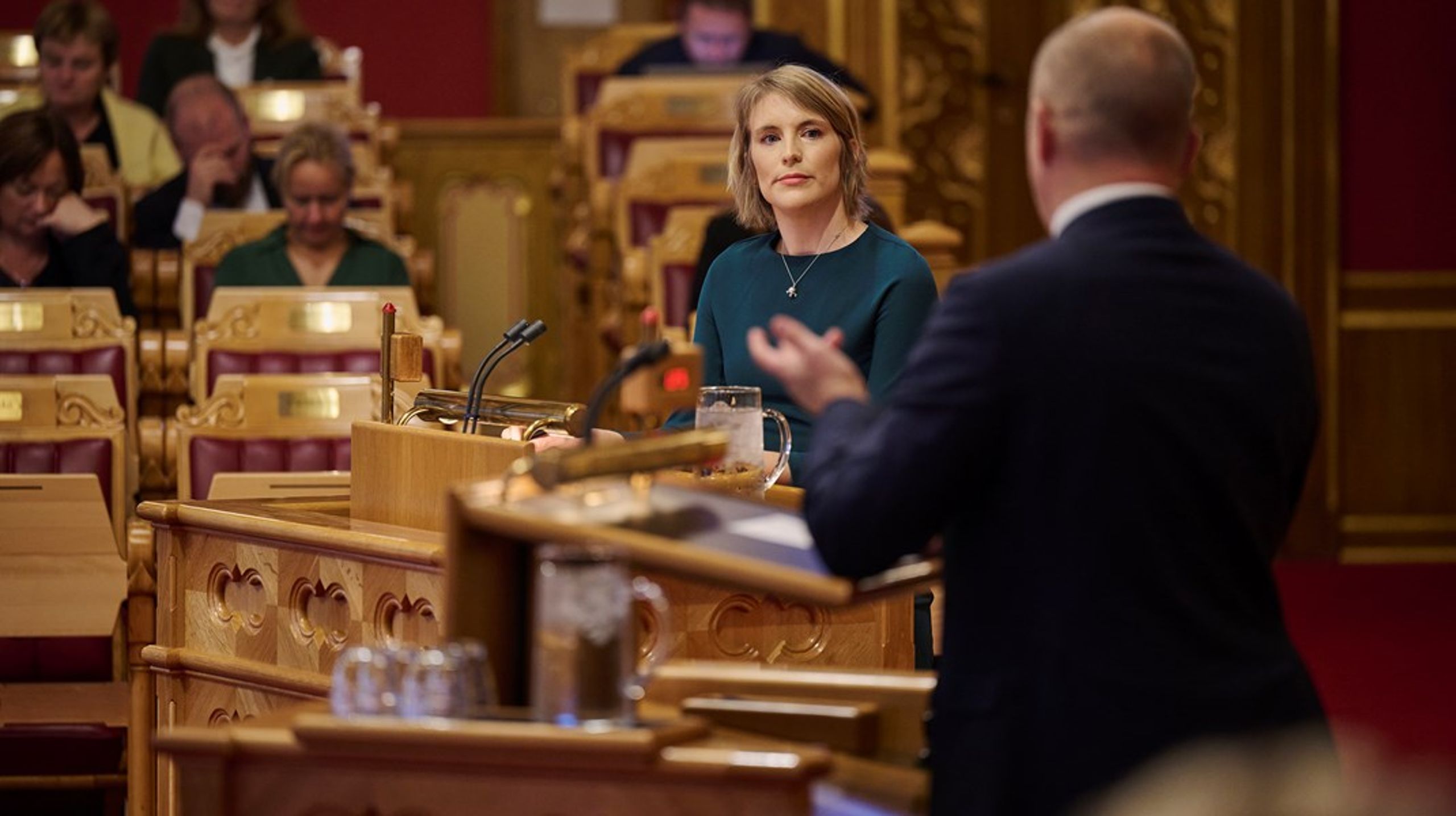SVs finanspolitiske talsperson Kari Elisabeth Kaski vil gjøre sitt for å sette et SV-stempel på finansminister Trygve Slagsvold Vedums budsjettforslag.