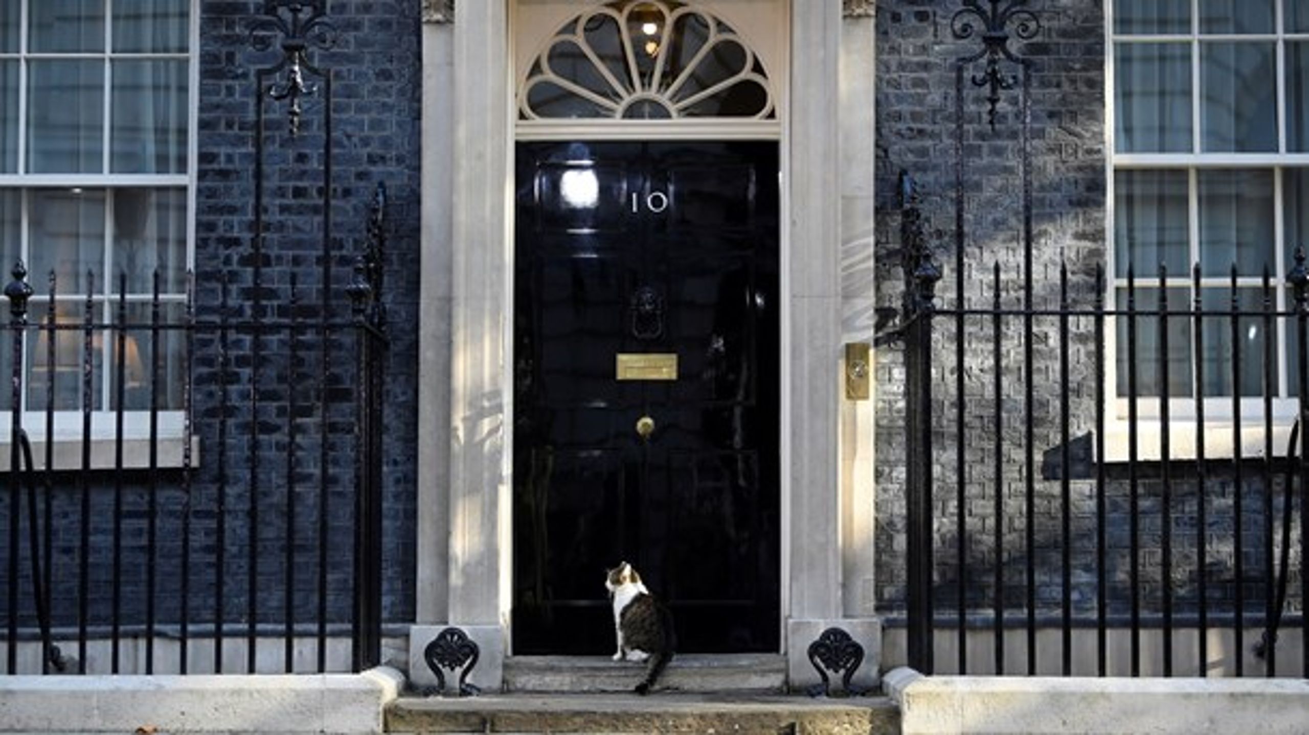 Katten Larry venter på at hans nye&nbsp;«tjener», Rishi Sunak, skal flytte inn&nbsp;i Downing Street 10.
