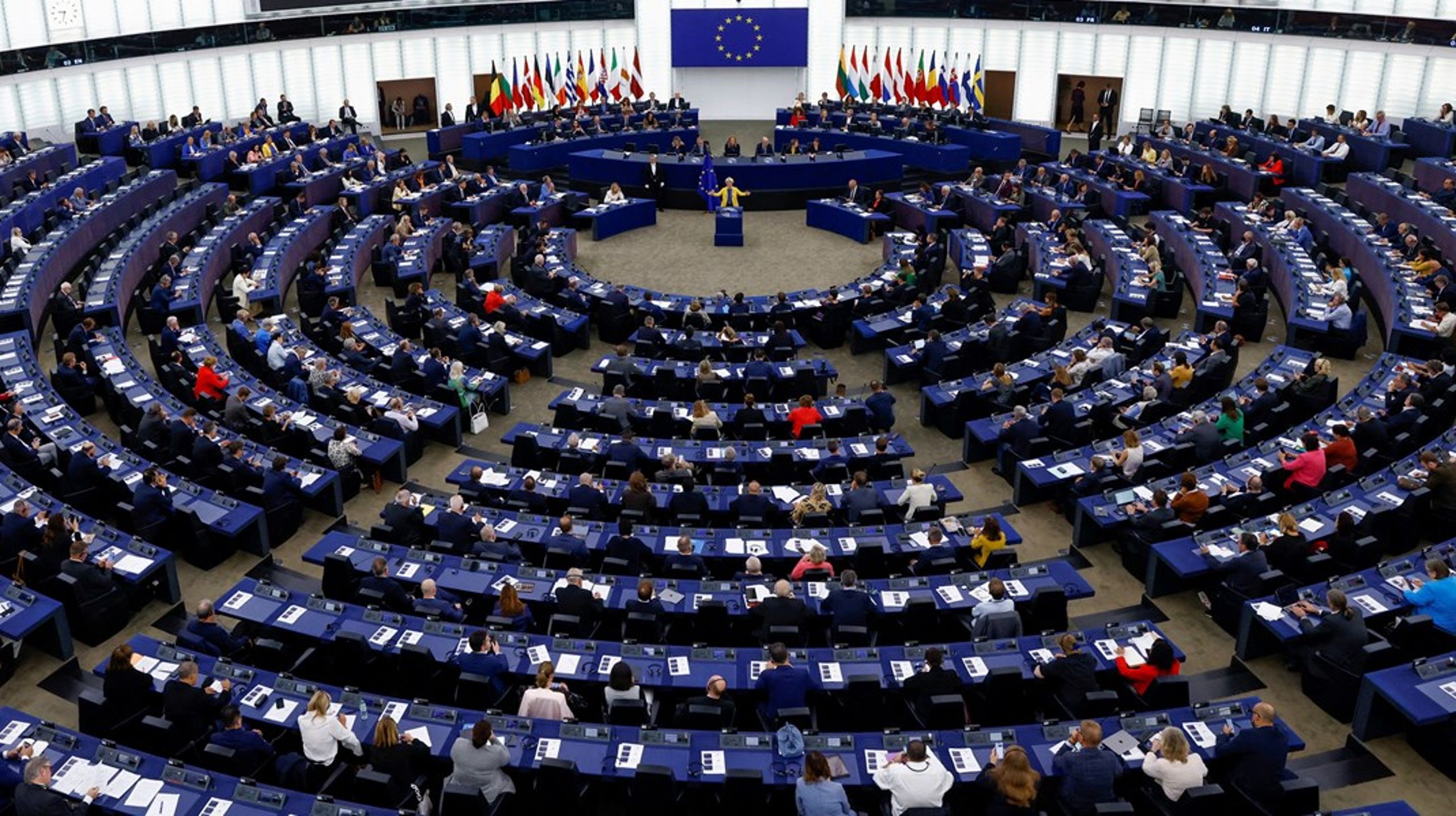 I juni går de 27 EU-medlemslandene til valgurnene for å velge sine nye representanter til Europaparlamentet. Deretter går prosessen i gang med å velge nytt lederskap i de ulike EU-organene. Våren 2024 blir en hendelsesrik vår.