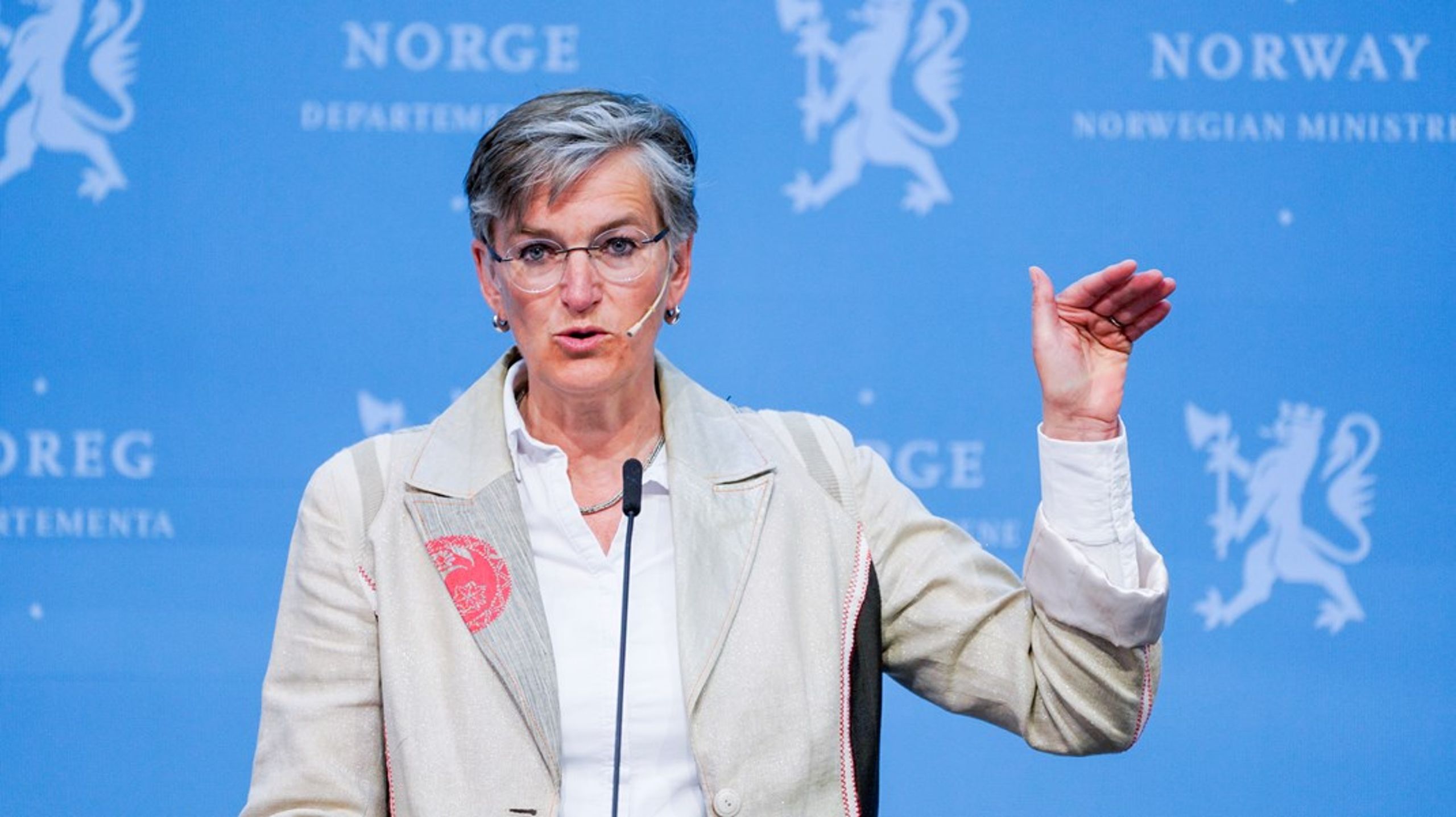 Direktør i Miljødirektoratet Ellen Hambro forteller til Altinget at det finnes gode muligheter for landbasert vindkraftutbygging i Norge som også ville ha akseptable naturkonsekvenser.