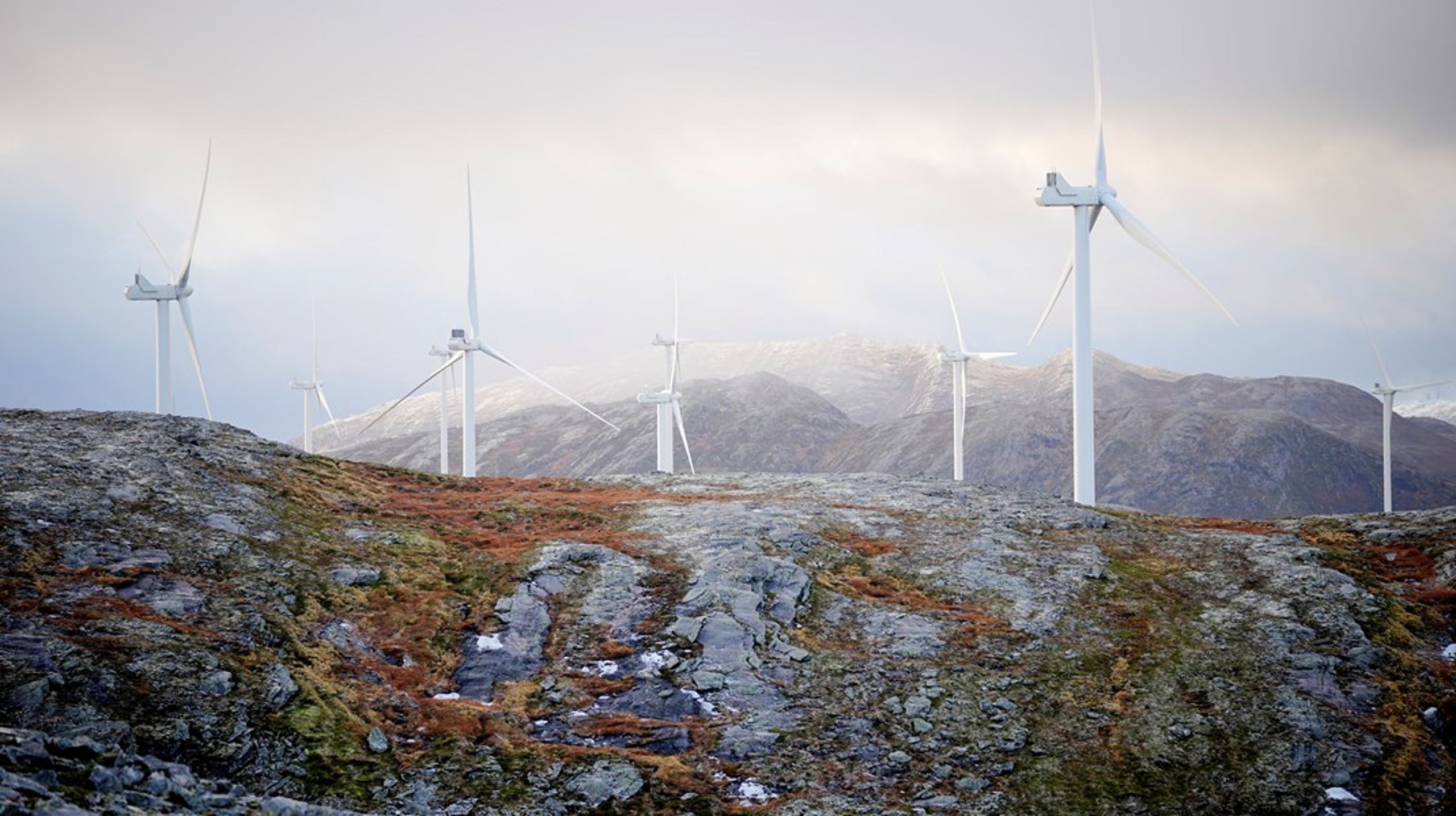 Roan vindpark på Fosen er et av to vindkraftverk som er dømt til å være i strid med menneskerettighetene og samenes rett til kulturutvølese av Høyesterett.
