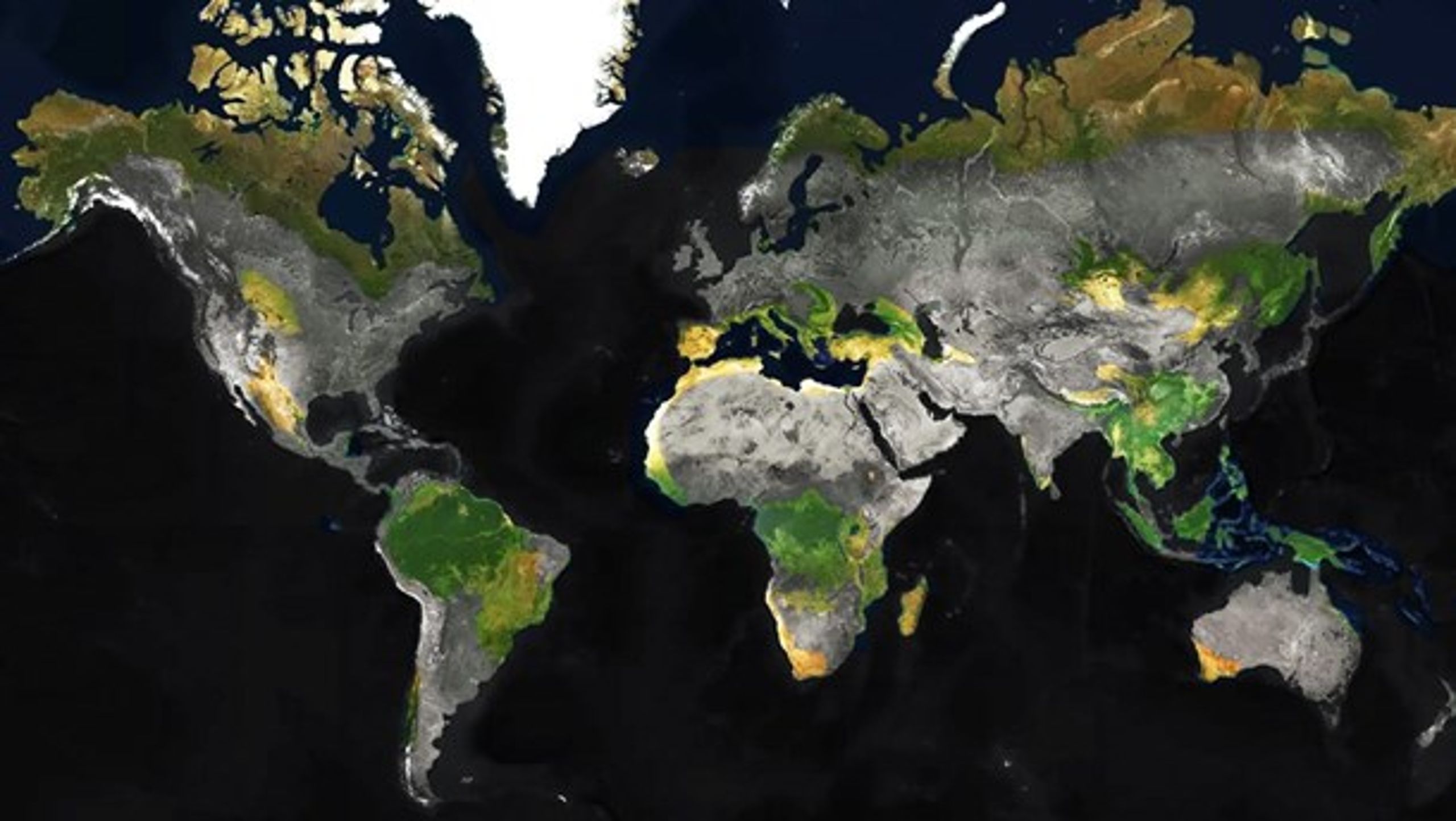 Kartet er en visuel fortolkning af WWFs kart over de viktigste biodiversitets-hotspots i verden.