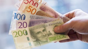 Professor i samfunnsøkonomi: – Den svenske modellen for lønnsdannelse er truet