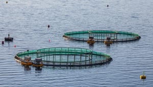 Flere interesseorganisasjoner raser mot lovforslaget om grunnrenteskatt på havbruk