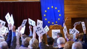 Europabevegelsen: Debatten om EØS-avtalen er i realiteten steindød, men holdes i live med kunstig åndedrett