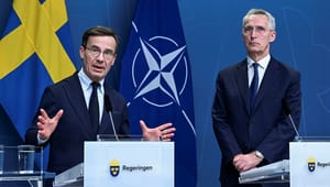 Natos nye nordiske klubb kommer ikke nødvendigvis til å marsjere i takt